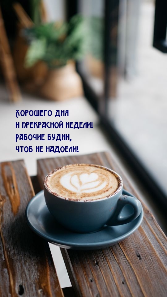 Хостинг картинок yapx.ru