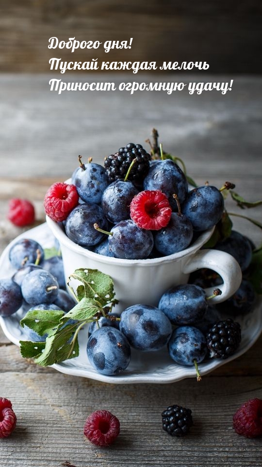 Хостинг картинок yapx.ru