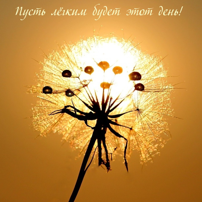 Красивая открытка доброго денёчка с цветами. Красивая открытка доброго денёчка с цветами.