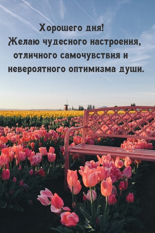 Счастливого, очень доброго, позитивного дня тебе. Счастливого, очень доброго, позитивного дня тебе.