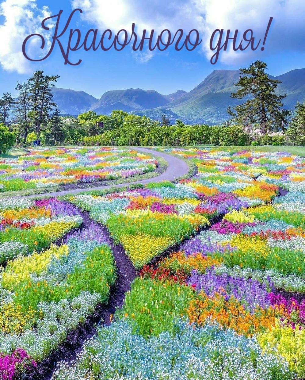 Хостинг картинок yapx.ru