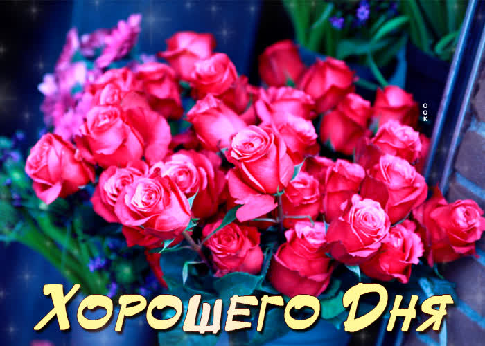 Хостинг картинок yapx.ru