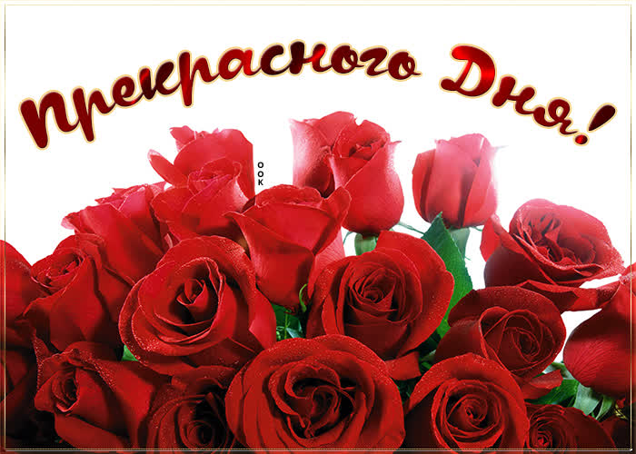 Хостинг картинок yapx.ru