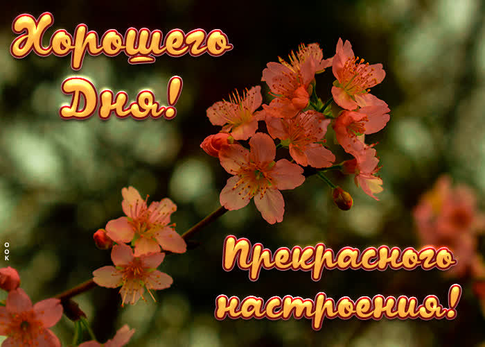 Хостинг картинок yapx.ru