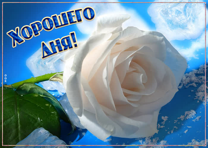 Хостинг картинок yapx.ru