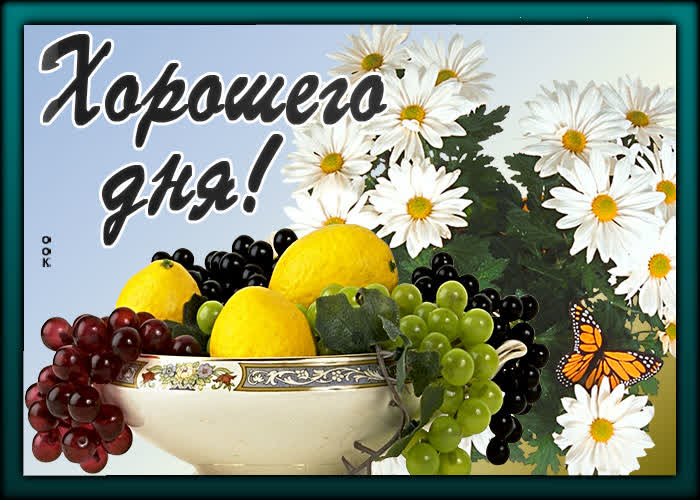 Хостинг картинок yapx.ru