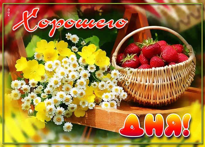 Хостинг картинок yapx.ru