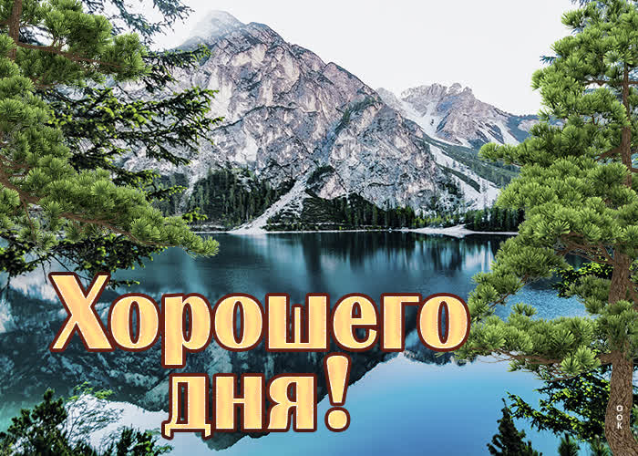 Хостинг картинок yapx.ru