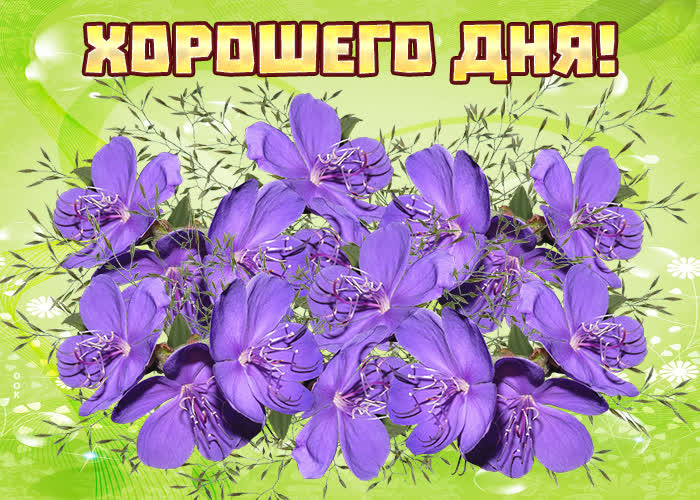 Хостинг картинок yapx.ru