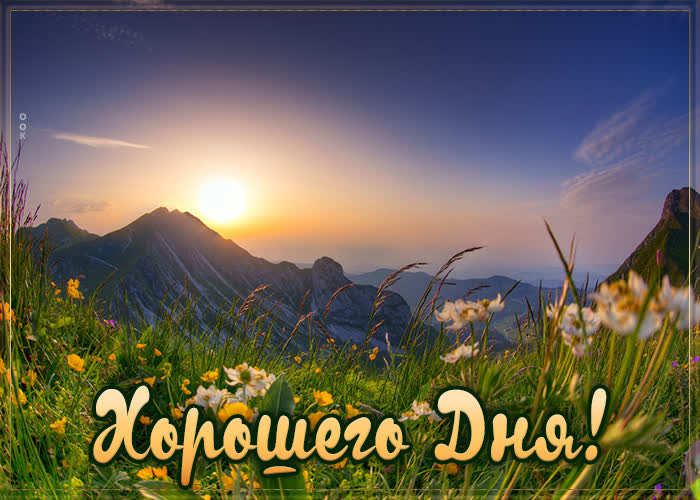 Хостинг картинок yapx.ru