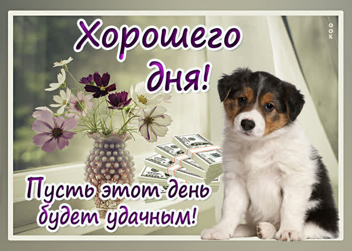 Хостинг картинок yapx.ru