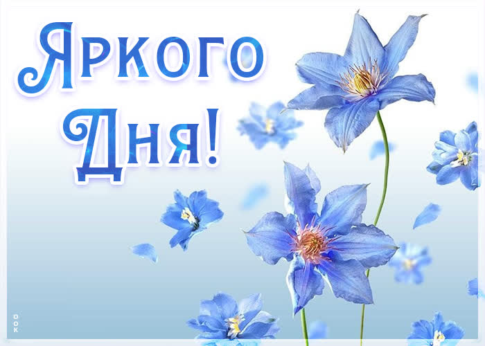 Хостинг картинок yapx.ru