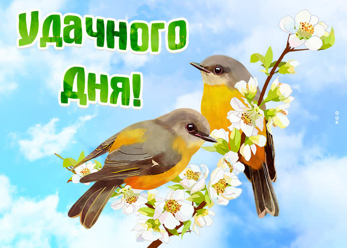 Хостинг картинок yapx.ru