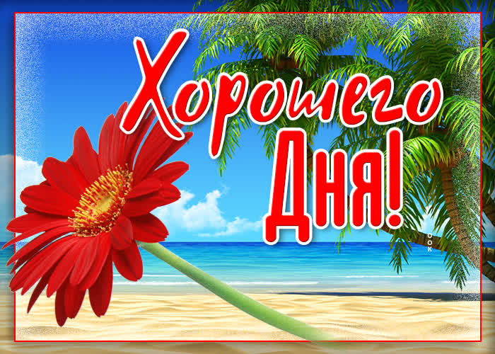 Хостинг картинок yapx.ru