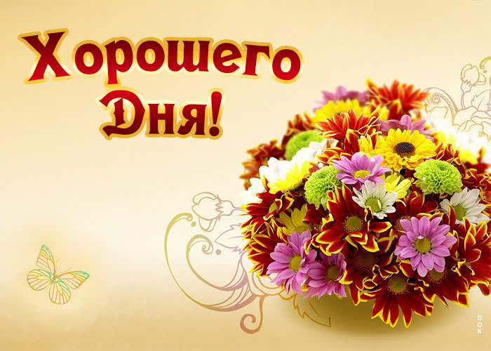 Хостинг картинок yapx.ru