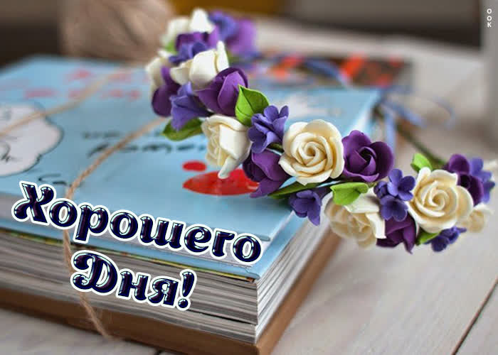 Хостинг картинок yapx.ru