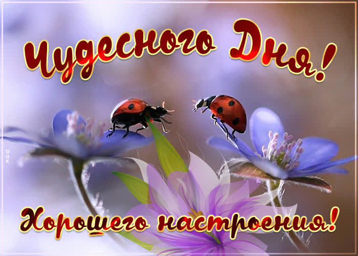 Хостинг картинок yapx.ru