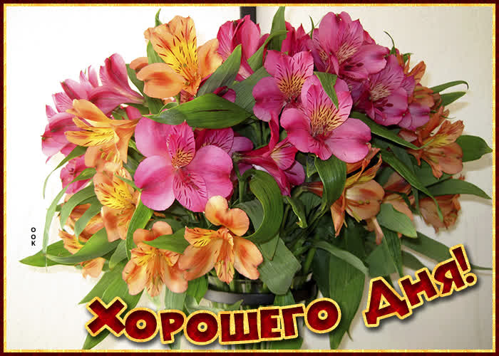 Хостинг картинок yapx.ru