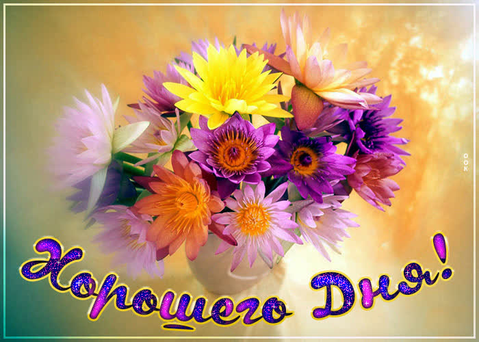 Хостинг картинок yapx.ru