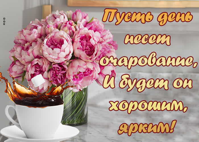 Хостинг картинок yapx.ru