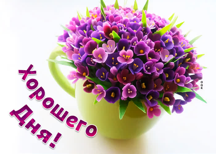 Хостинг картинок yapx.ru