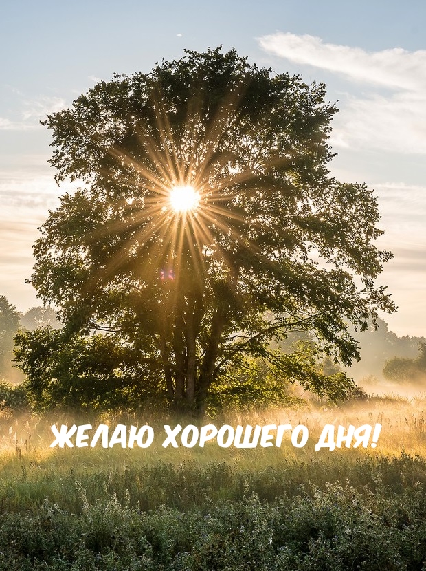 Хостинг картинок yapx.ru