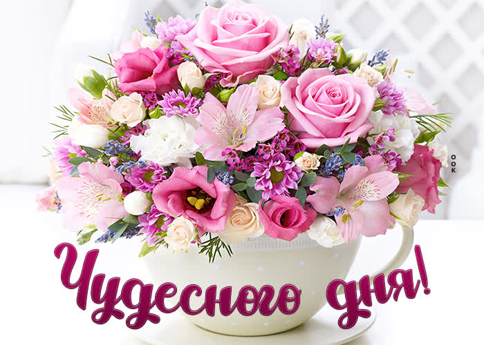 Хостинг картинок yapx.ru