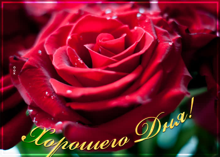 Хостинг картинок yapx.ru