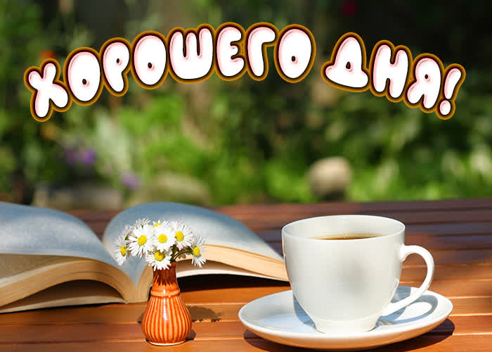 Хостинг картинок yapx.ru