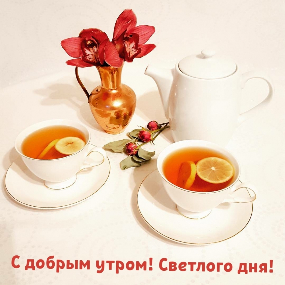 Хостинг картинок yapx.ru