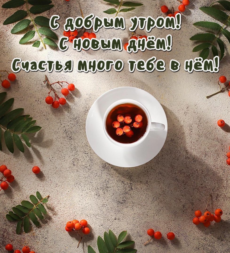 Хостинг картинок yapx.ru