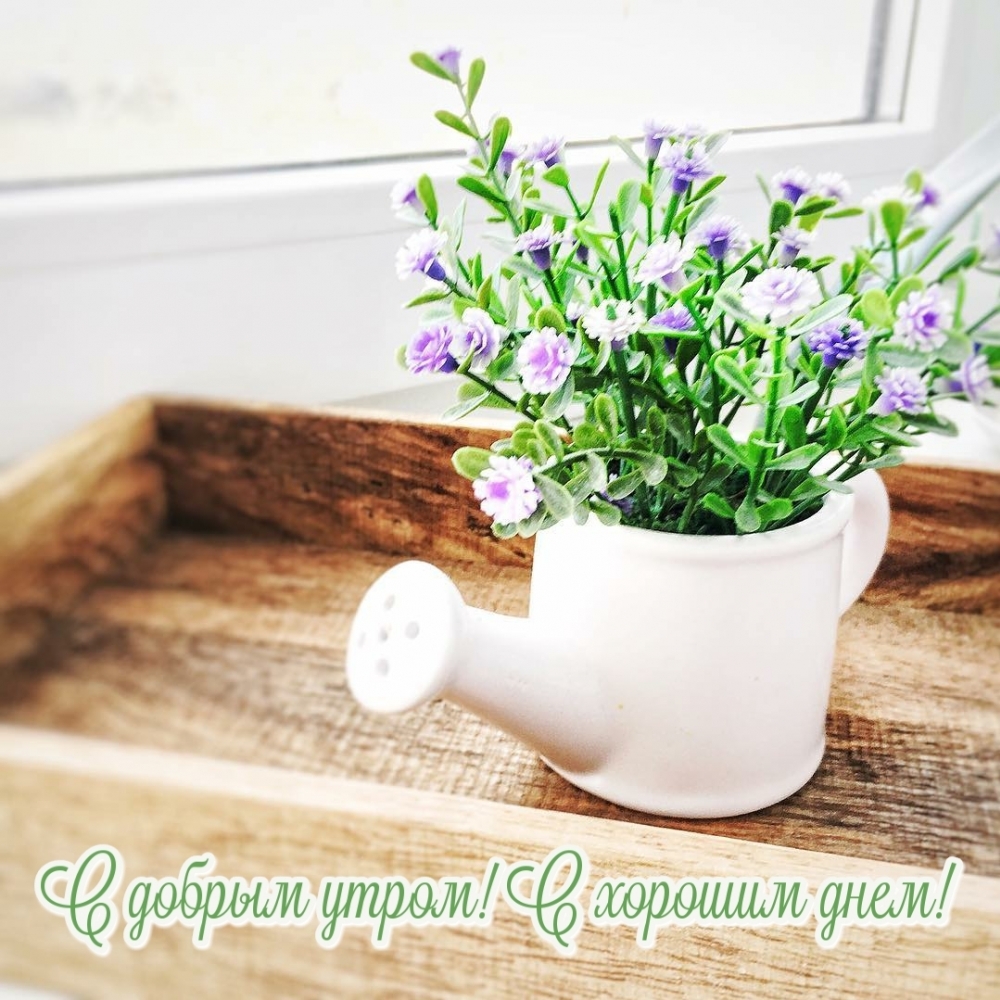 Хостинг картинок yapx.ru