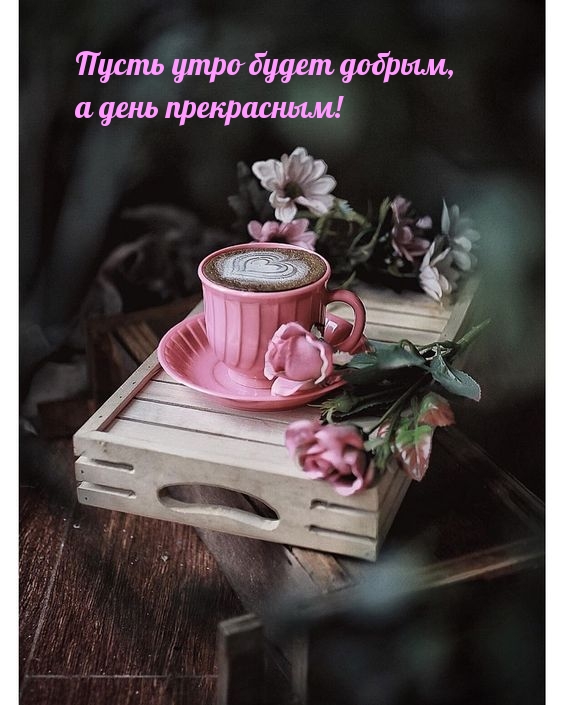 Открытки с добрым утром прикольные Открытки с добрым утром прикольные