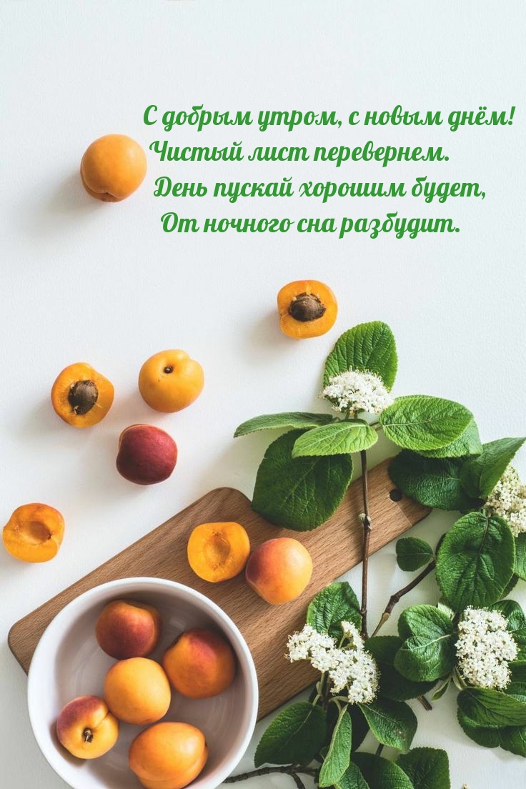 Хостинг картинок yapx.ru