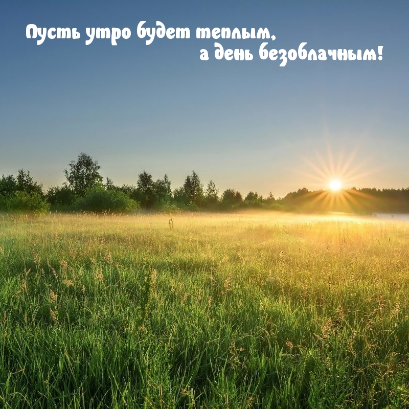 Хостинг картинок yapx.ru