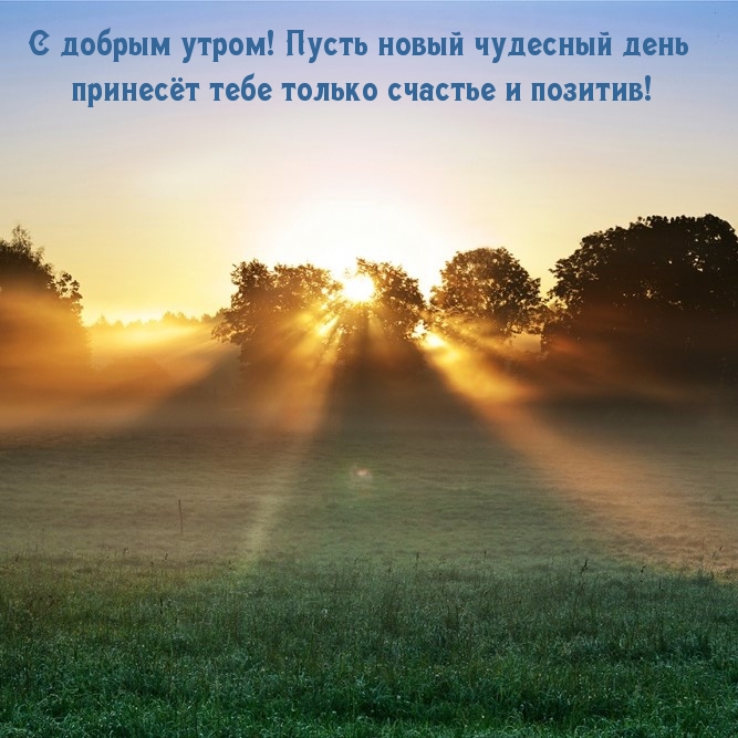 Хостинг картинок yapx.ru