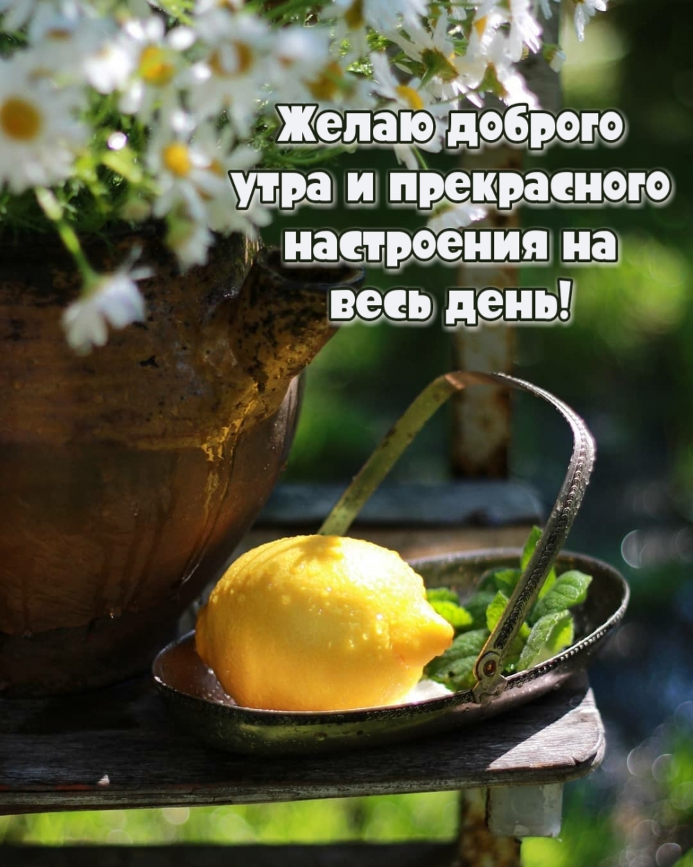 Хостинг картинок yapx.ru