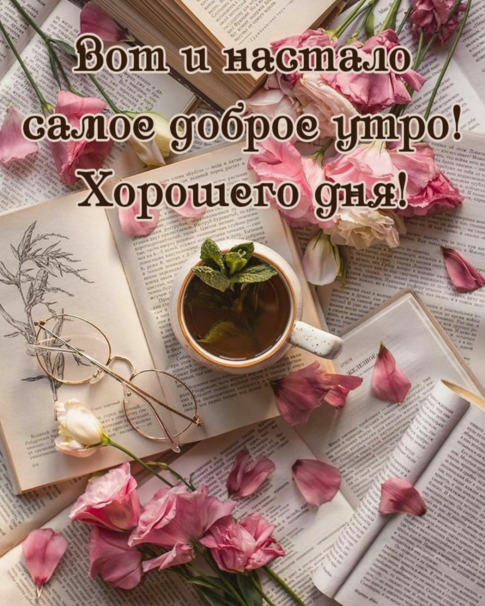 Хостинг картинок yapx.ru