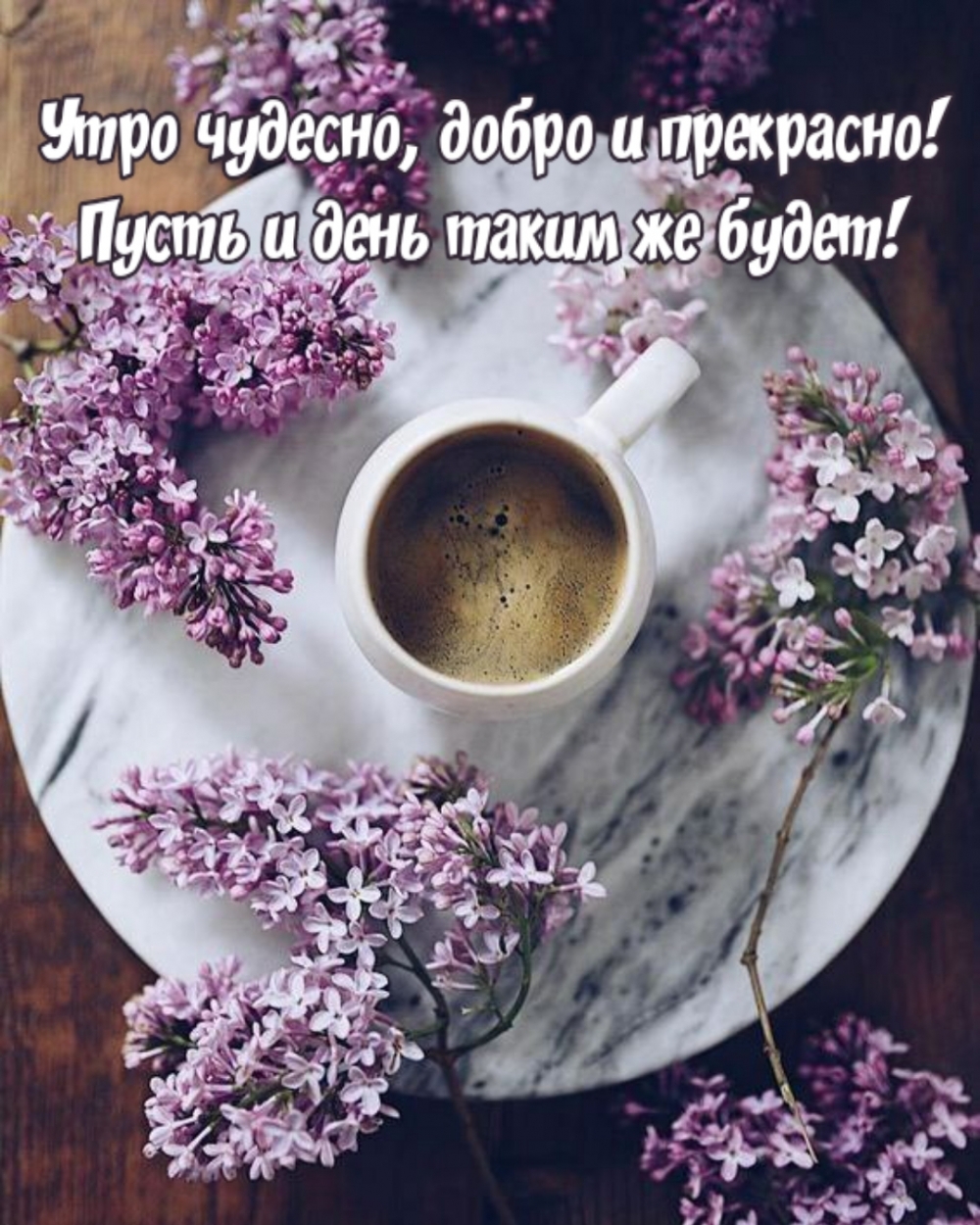 Хостинг картинок yapx.ru