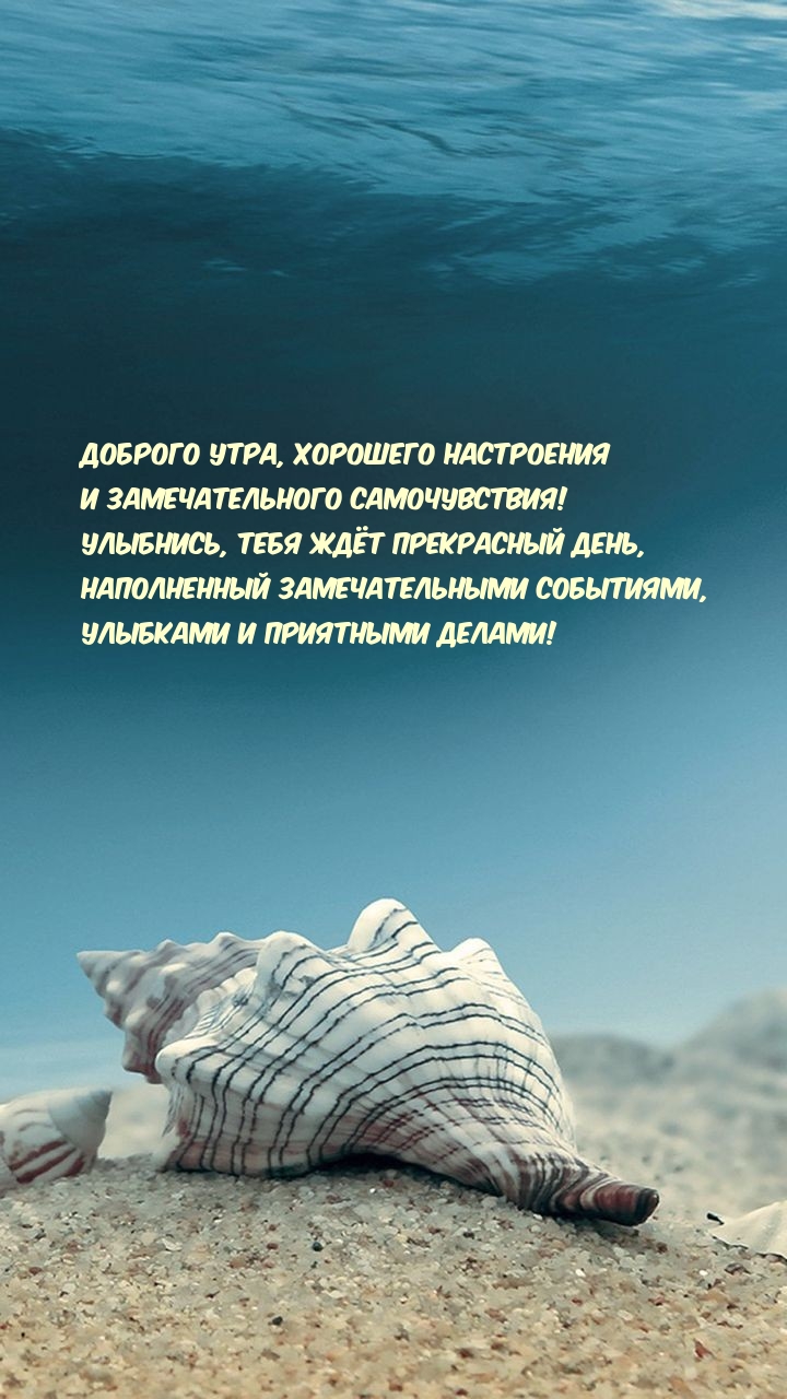 Хостинг картинок yapx.ru