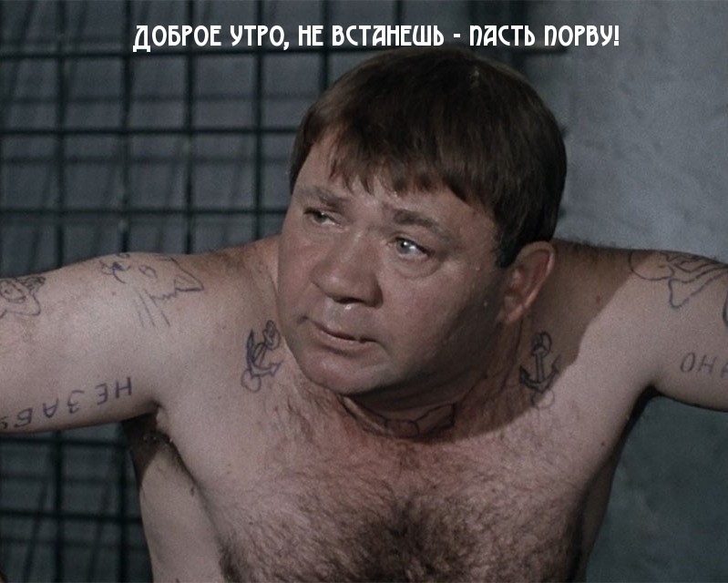 Хостинг картинок yapx.ru