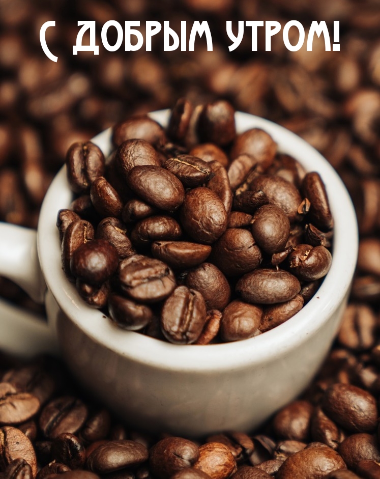 Хостинг картинок yapx.ru