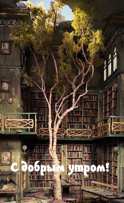 Хостинг картинок yapx.ru