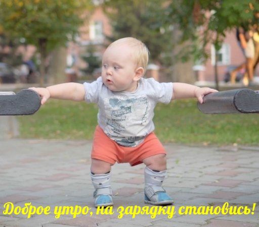 Смешная картинка с добрым утром мужику!