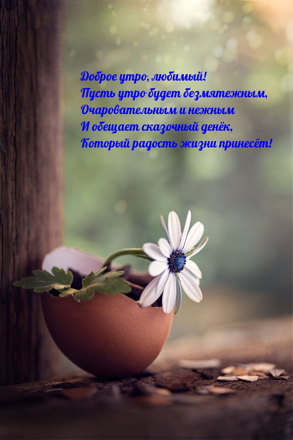 Хостинг картинок yapx.ru