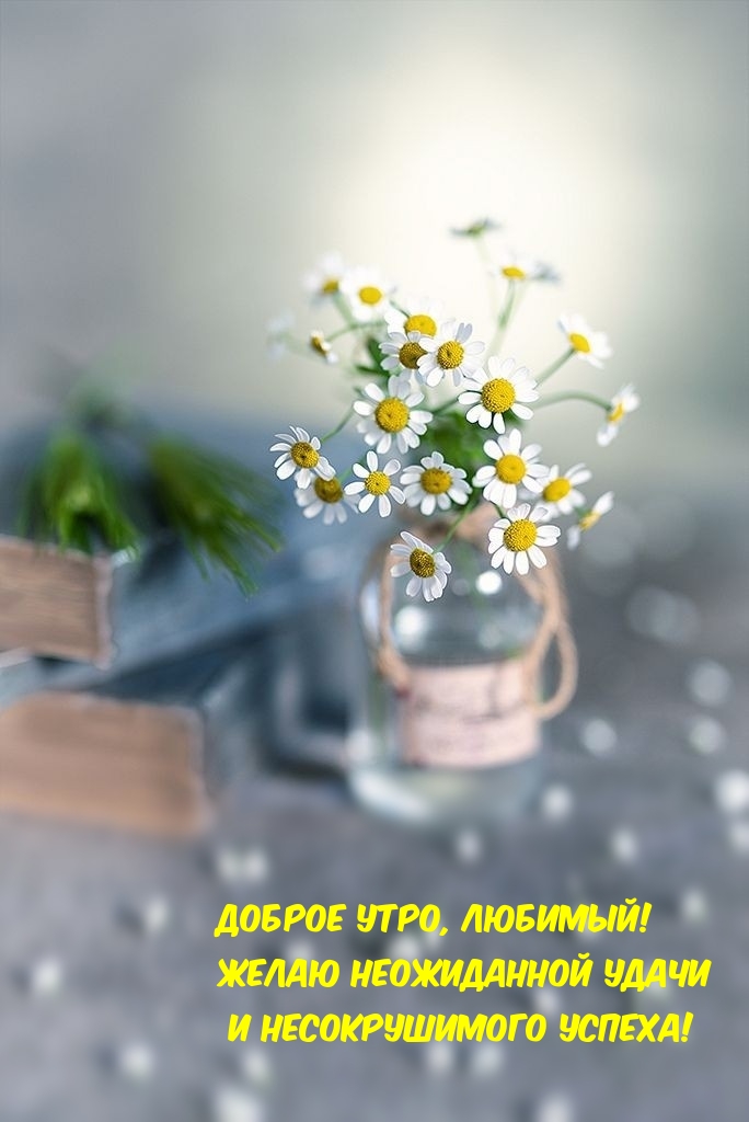 Хостинг картинок yapx.ru