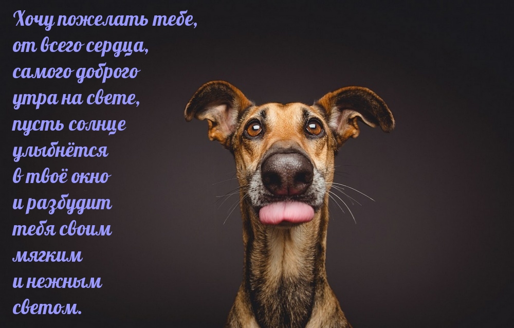 Прикольные открытки с добрым утром мужчине с пожеланиями (50 картинок)