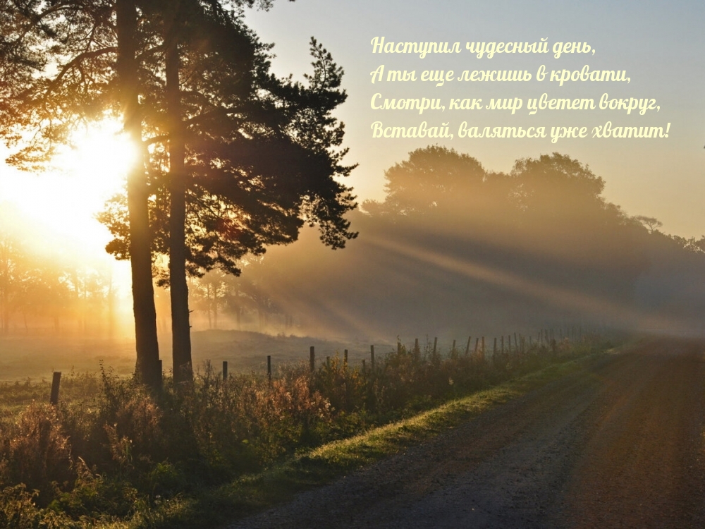 Хостинг картинок yapx.ru