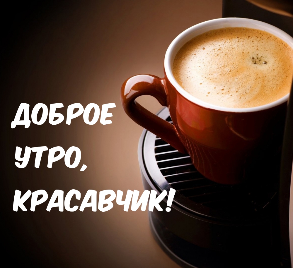 Хостинг картинок yapx.ru