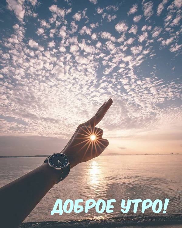 Хостинг картинок yapx.ru